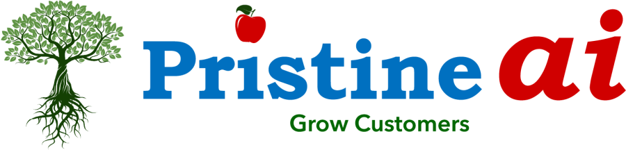 Pristine Infotech, Inc